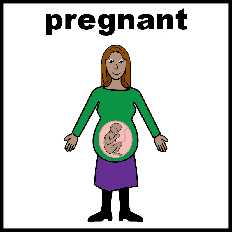 Pregnancies — easy-read style